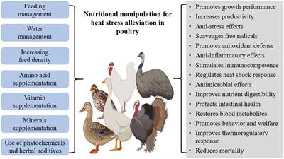 Alleviating heat stress effects in poultry: updates on methods and mechanisms of actions